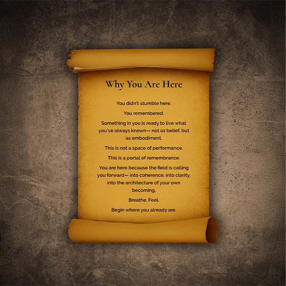 Why You Are Here